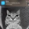 Misaki's profile picture