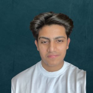 aryanlabde's profile picture