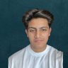 Profilbild von Aryan