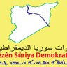 rojava's profile picture