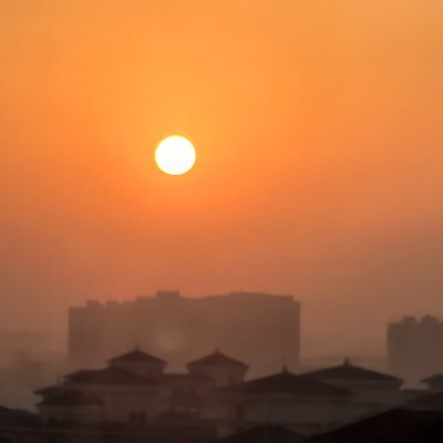 qingfeng2511's profile picture