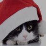 Profilbild von Pat