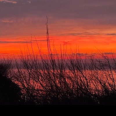 Trucker Tom's profile picture