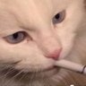 cappuccino24125's profile picture