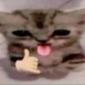 Bossy's profile picture
