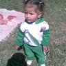 makhlouf bouhlal's profile picture