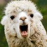 Profilbild von Solama