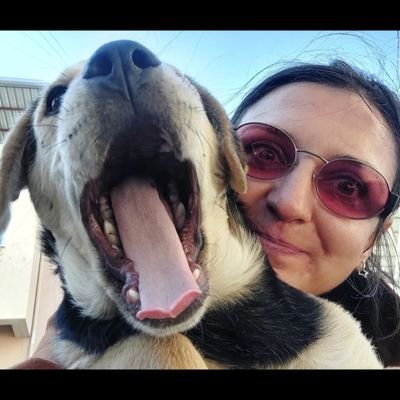Sibel's profile picture