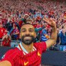 The Reds's profile picture
