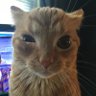 Profilbild von Wid