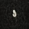 مصطفي🇪🇬🇵🇸's profile picture