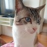 Marta Izzat's profile picture