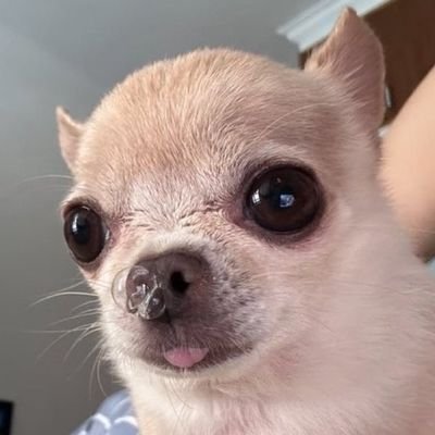 oyooyyoooyyy's profile picture