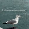وقور profil fotoğrafı