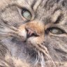 Profilbild von Sky