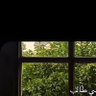 تي تاو profil fotoğrafı