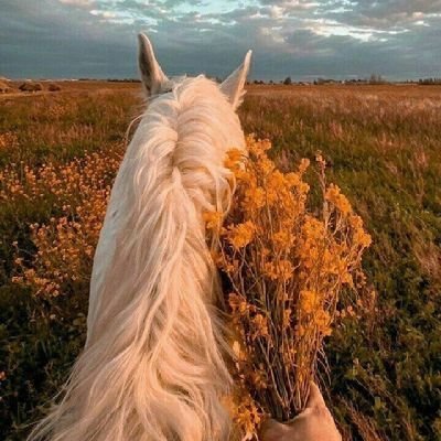 NAJDiij's profile picture