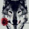 mi's profile picture