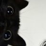 Get-Lucky's profile picture