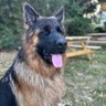 TEXTisBACKUP's profile picture