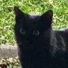 Yakuin Jiro's profile picture