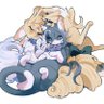 Profilbild von vit--