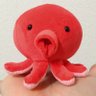 ひかるちゃんです。🍙🐙 profil fotoğrafı