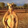 itsJambro's profile picture