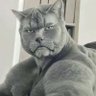 prandy profil fotoğrafı