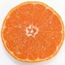 かがみもち(すももち)🍊Ω profil fotoğrafı