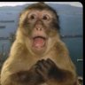 ariali's profile picture
