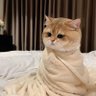blu ray profil fotoğrafı