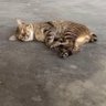 It's me 的头像