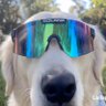 Deepesh.rs🦀 profil fotoğrafı