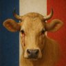 Juan Maltimus's profile picture