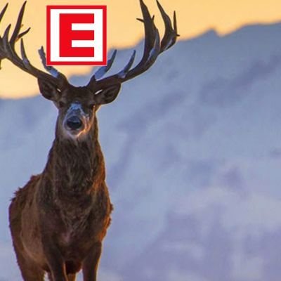 Eczgeyik's profile picture