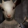Profilbild von jaybird