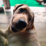 Фото профиля dogesh bhai