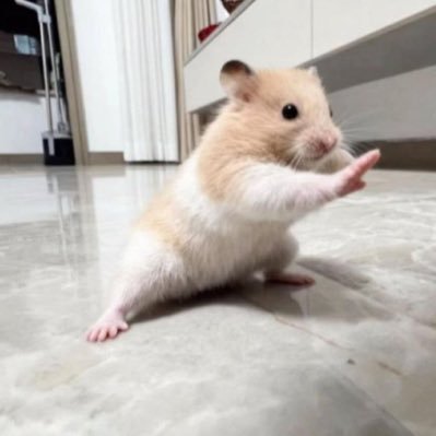 쮜기요2's profile picture