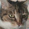 Lisy profil fotoğrafı