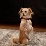 Leslie R's profile picture