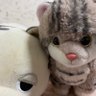 京都の母ちゃん 的头像