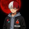 Wilson profil fotoğrafı