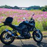 Kohei.Shiota🐾🌻's profile picture