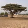 أحمد المرزوقي🇦🇪UAE 的头像