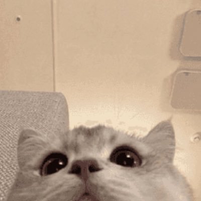 cutiepau_'s profile picture