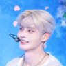 Chandelle🦋's profile picture