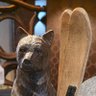 Bear Hunter 的头像