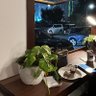 Manal _M 的头像