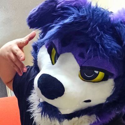 perrodisociado's profile picture